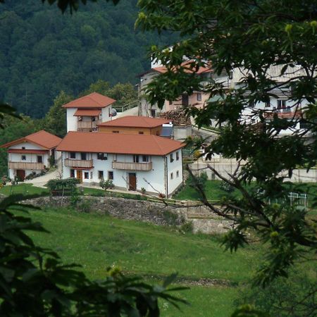Rocinj Apartmaji Nena מראה חיצוני תמונה