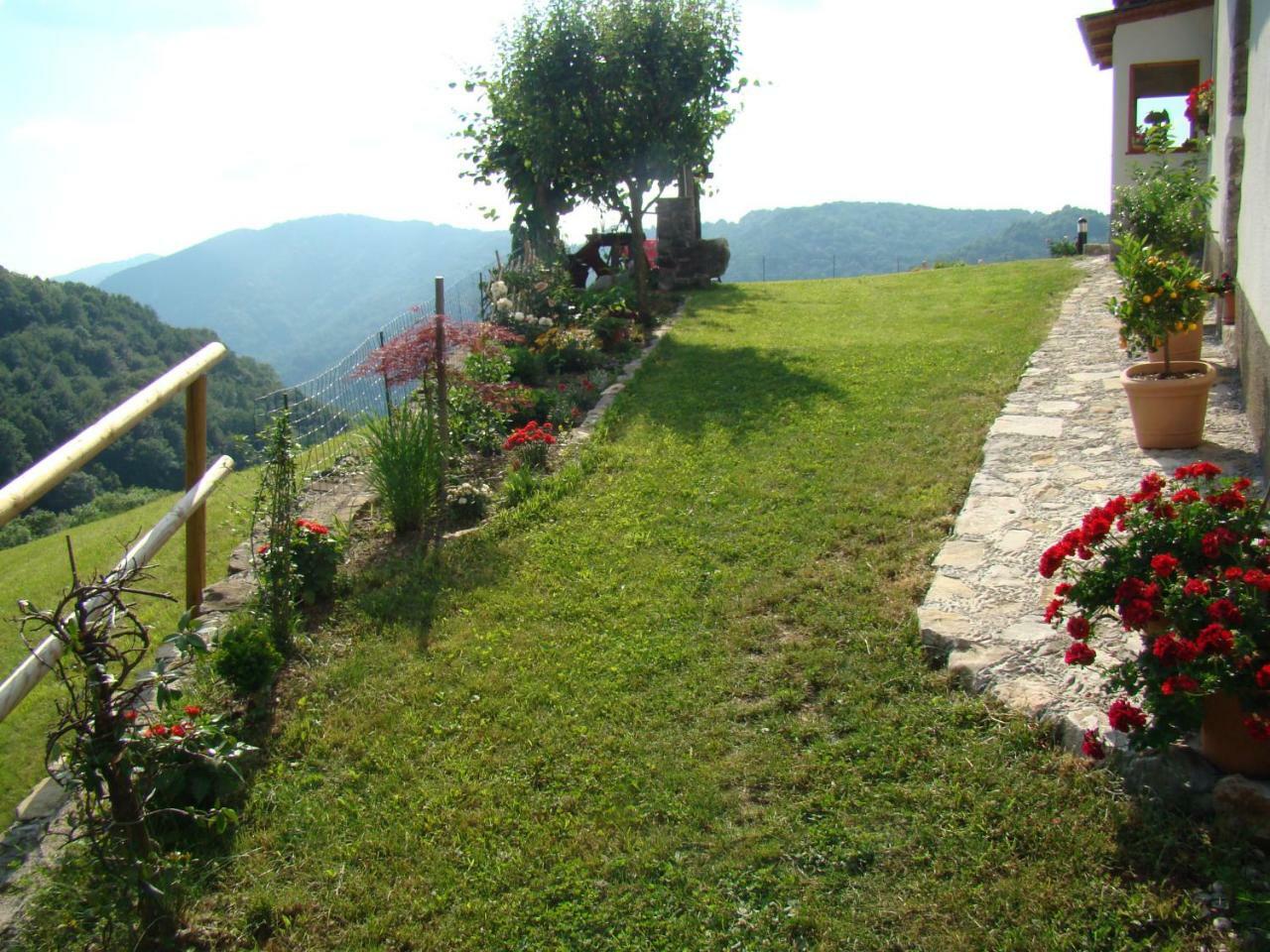 Rocinj Apartmaji Nena מראה חיצוני תמונה