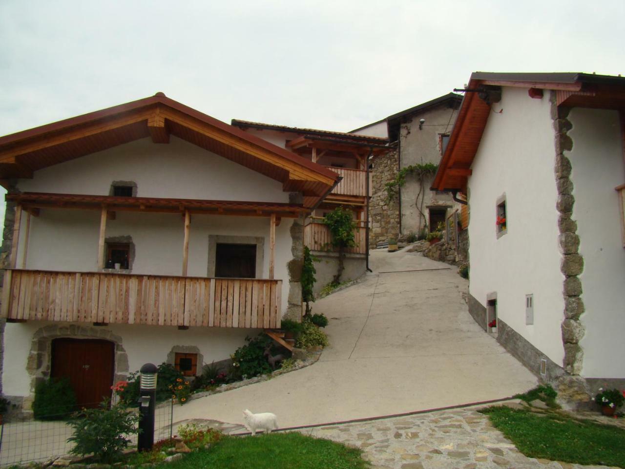 Rocinj Apartmaji Nena מראה חיצוני תמונה