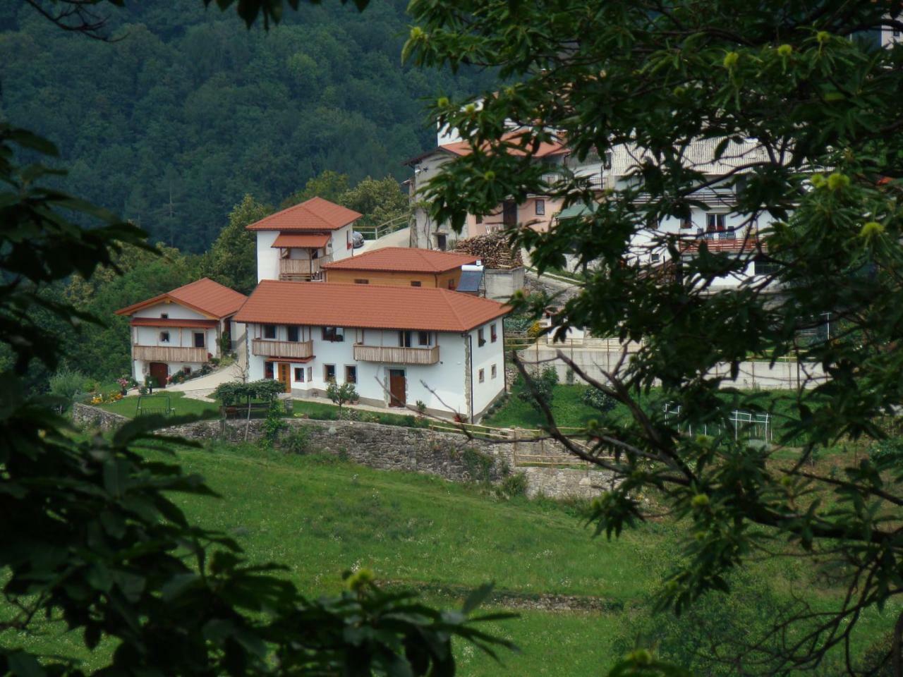 Rocinj Apartmaji Nena מראה חיצוני תמונה